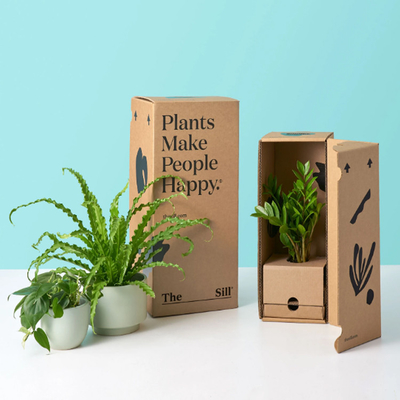 Custom Corrugated Cardboard Plant Shipping Box Packaging Plant Boxes For Plants Packaging