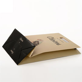 Custom Printed Paper Bags Gift Packaging With Die Cut Patch Handle