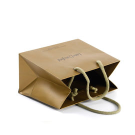 Recyclable Luxury Branded Paper Bags , Custom Printed Paper Shopping Bags