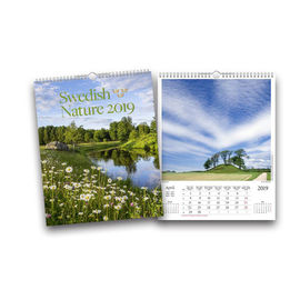 Office Daily 12 Month Calendar Printing , Promotional Calendar Printing Service