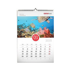12 Months Custom Calendar Printing , Full Color Custom Wall Calendars With Hanger