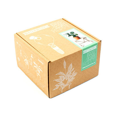 Custom Printed Paper Cardboard Long Live Plant Packing Shipping Box For Plants