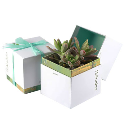 Custom Printed Succulent Planter Gift Box Succulent Packaging Box