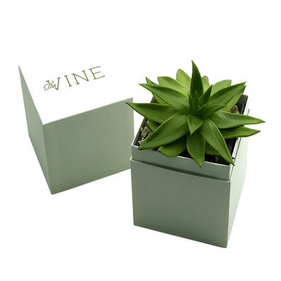 Custom Printed Succulent Planter Gift Box Succulent Packaging Box