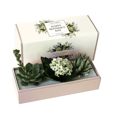 Custom Printed Succulent Planter Gift Box Succulent Packaging Box