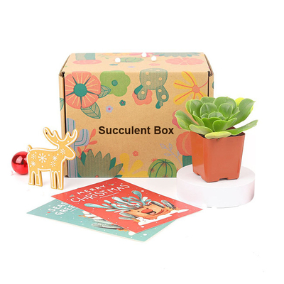 Custom Logo Printed Paper Cactus Succulents Live Plants Packaging Shipping Box with Insert
