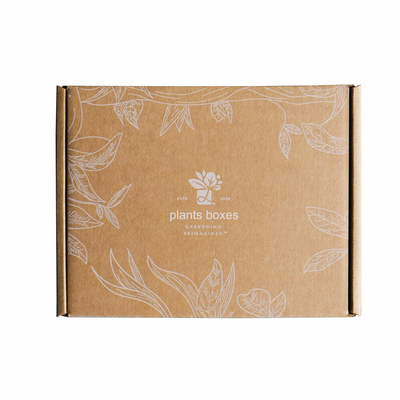 Custom Logo Printed Paper Cactus Succulents Live Plants Packaging Shipping Box with Insert