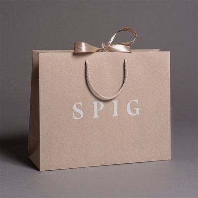 Luxury Custom Paper Packaging Shopping Bag With Logo