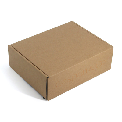 Custom Logo Printed Self Seal Adhesive Tear Strips Zipper Mailer Box