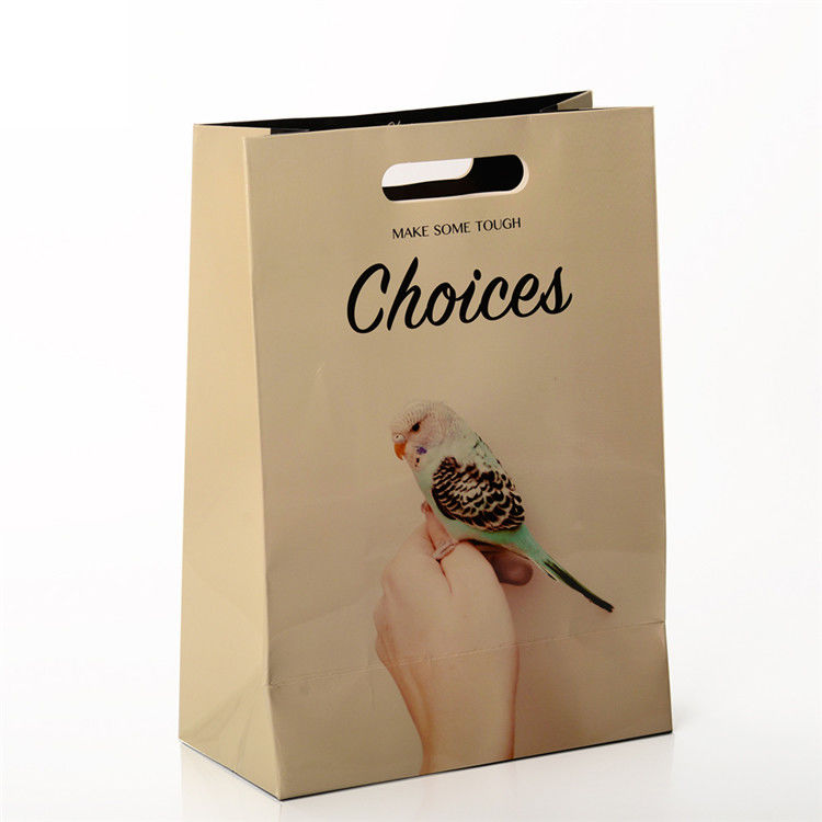 Custom Printed Paper Bags Gift Packaging With Die Cut Patch Handle