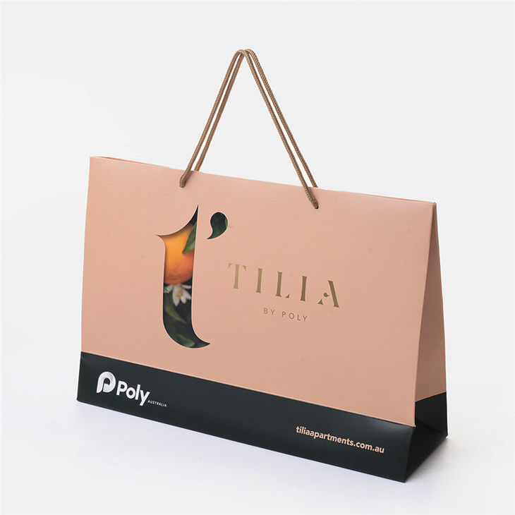 Custom Printed Shopping Bags With Your Brand Logo For Promotion Bag